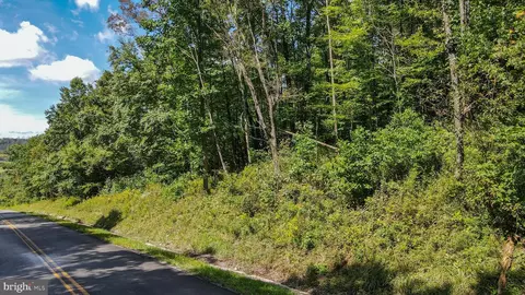 Devils Half Acre Road, Accident, MD 21520 photo 5