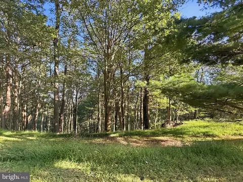 Other - 524 Summit Dr, Swanton, MD 21561 photo 43 of 50
