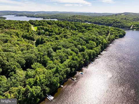 View/Area - 430 State Park Rd, Swanton, MD 21561 photo 4 of 6