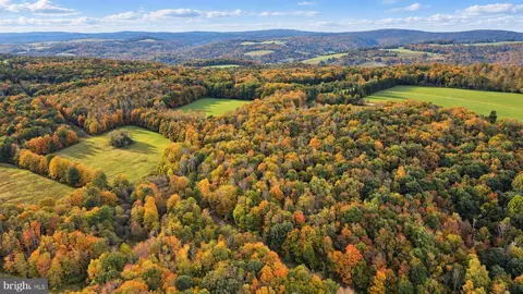 163 12 Acres Bittinger Rd, Grantsville, MD 21536