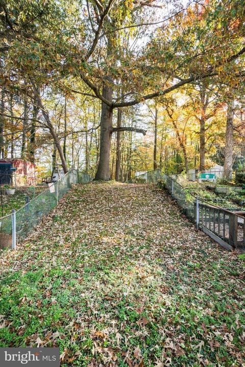 713 Sequoia Dr, Edgewood, MD 21040 photo 36