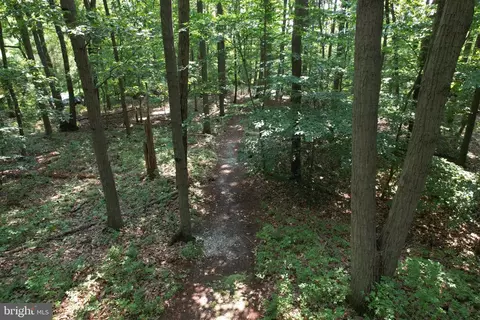 2403 Old Mountain Central Rd, Joppa, MD 21085 photo 46