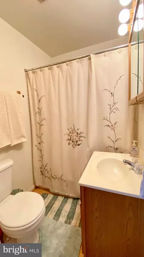 Bath - 423 Trimble Rd, Joppa, MD 21085 photo 3 of 3