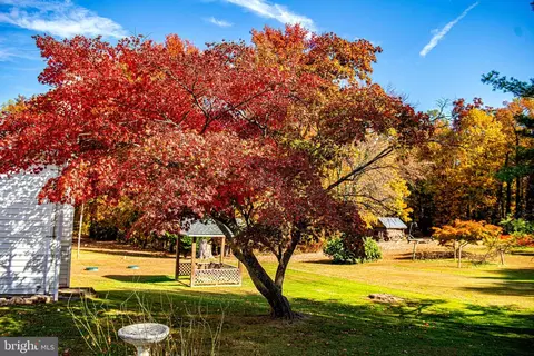 815 Magnolia Rd, Joppa, MD 21085 photo 4