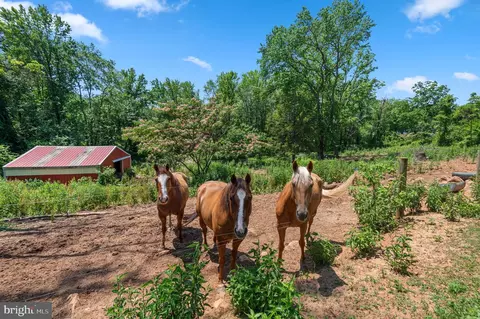 Other - 312 Whitaker Mill Rd, Fallston, MD 21047 photo 21 of 22