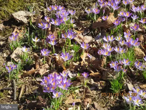 Other - 2011 Fallsgrove Way, Fallston, MD 21047 photo 31 of 34