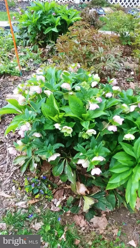 Other - 2011 Fallsgrove Way, Fallston, MD 21047 photo 33 of 34