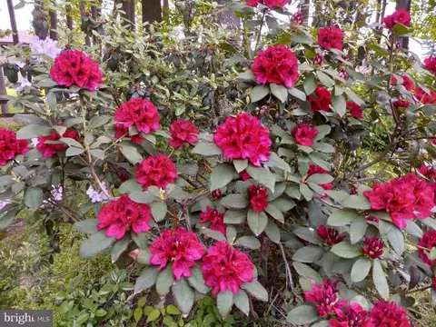 Other - 2011 Fallsgrove Way, Fallston, MD 21047 photo 34 of 34