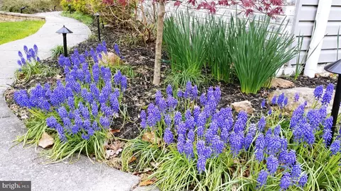 Other - 2011 Fallsgrove Way, Fallston, MD 21047 photo 32 of 34