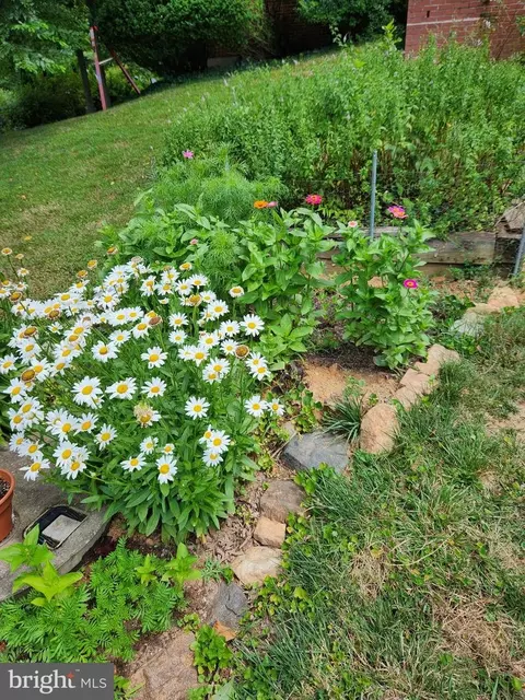 Other - 2911 Nelson Ln, Fallston, MD 21047 photo 25 of 31
