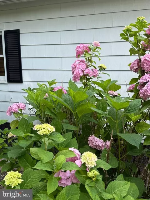 Exterior - 2912 Old Mountain Rd S, Joppa, MD 21085 photo 15 of 20