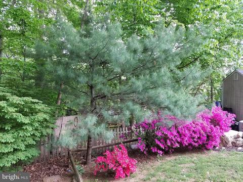 321 Amy Dr, Abingdon, MD 21009 photo 5