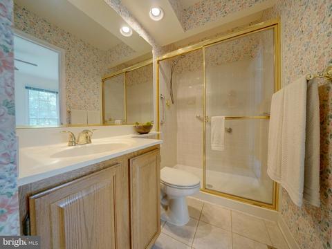 8248 Sandy Stream Rd, Laurel, MD 20723 photo 51
