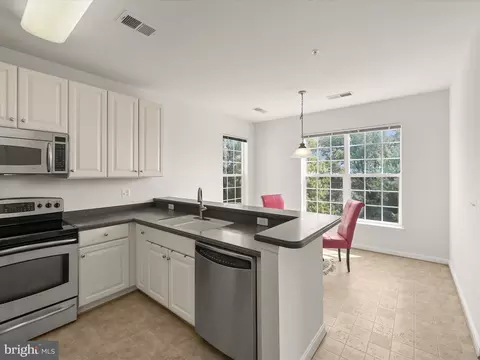 7335 Brookview Rd #307, Elkridge, MD 21075 photo 20