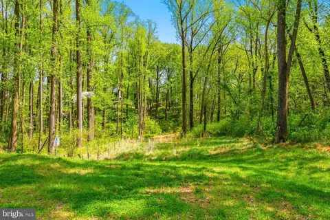 8513 Hudson Ct, Laurel, MD 20723 photo 2