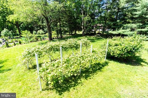 5002 Centaurus Ct, Dayton, MD 21036 photo 6