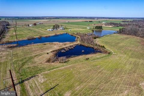 33824 Bradford Johnson Rd, Golts, MD 21635