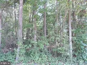 Millbrook Drive, Chestertown, MD 21620