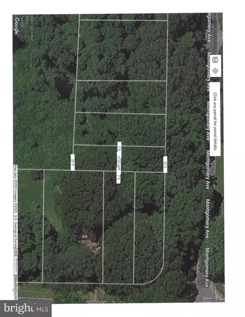 Montgomery Avenue, Chestertown, MD 21620