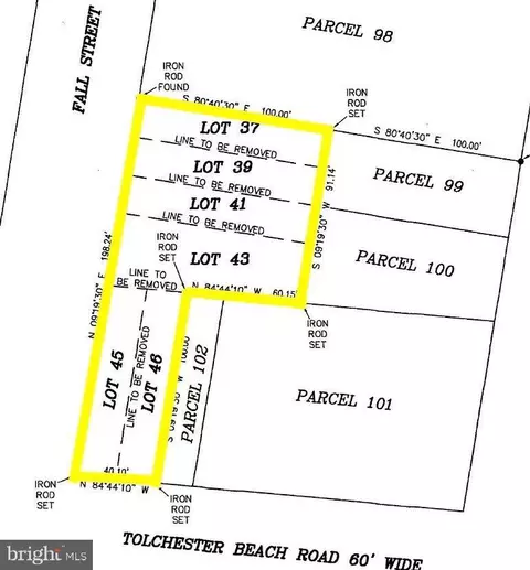 Fall Street, Chestertown, MD 21620