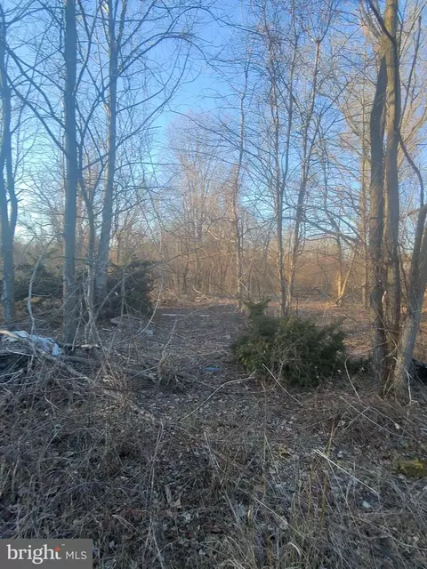 31612 Olivet Cir, Galena, MD 21635