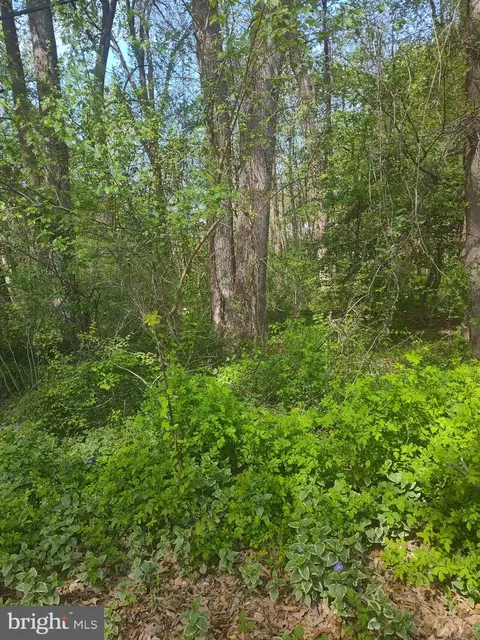 Georgetown Road Se, Chestertown, MD 21620