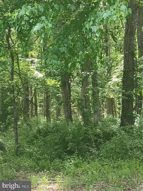 Caulks Field Road, Chestertown, MD 21620
