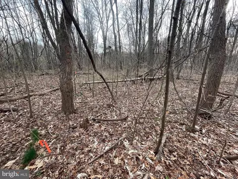 Georgetown Rd, Chestertown, MD 21620