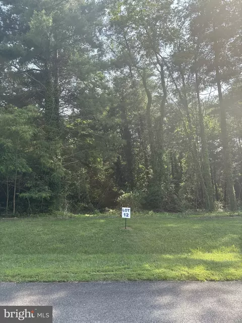 12 Wilson Point Rd, Galena, MD 21635