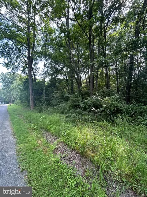 chesterville forest road, Millington, MD 21651