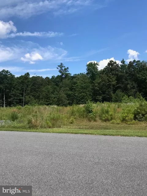 Fithian Drive, Rock Hall, MD 21661