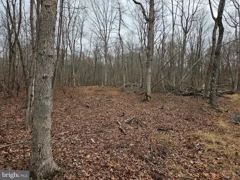 Bradford Johnson Road, Golts, MD 21635