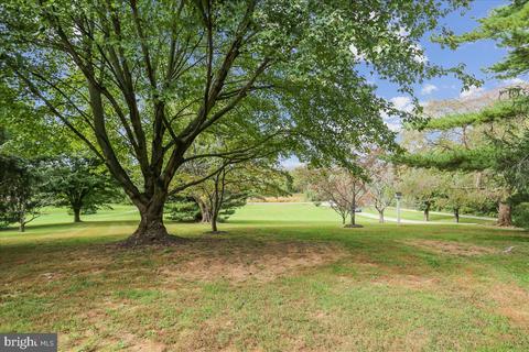 20601 Bucklodge Rd, Boyds, MD 20841 photo 110