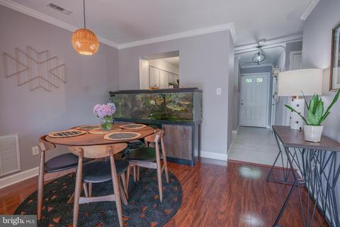 4055 Chesterwood Dr, Silver Spring, MD 20906 photo 10