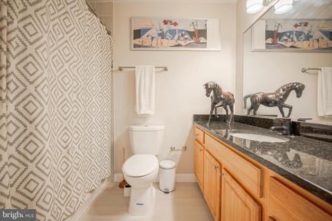 4055 Chesterwood Dr, Silver Spring, MD 20906 photo 45