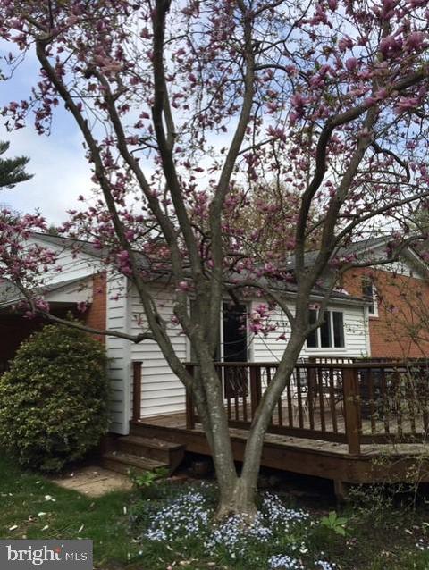 9209 Watson Rd, Silver Spring, MD 20910 photo 65