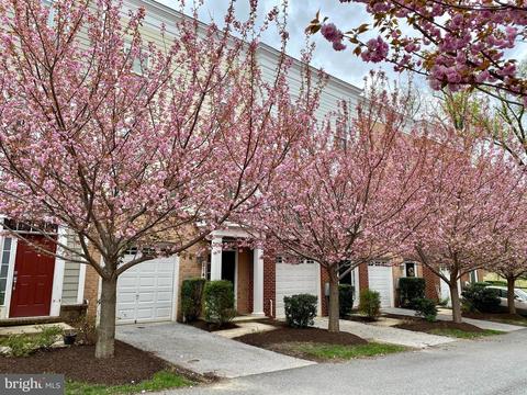 2145 Little Sorrel Way, Silver Spring, MD 20902 photo 27