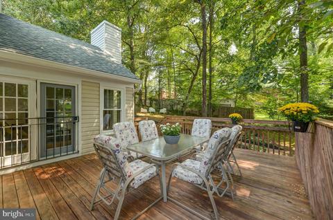 11413 Catalina Ter, Silver Spring, MD 20902 photo 36