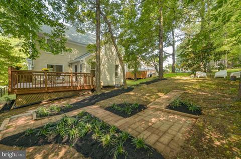 11413 Catalina Ter, Silver Spring, MD 20902 photo 38