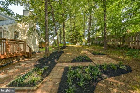 11413 Catalina Ter, Silver Spring, MD 20902 photo 39