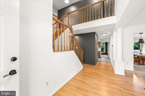 11413 Catalina Ter, Silver Spring, MD 20902 photo 3