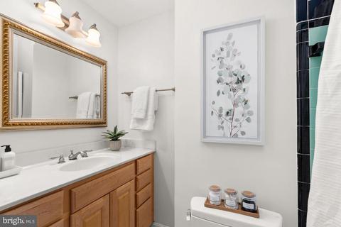 314 Burnt Mills Ave, Silver Spring, MD 20901 photo 21