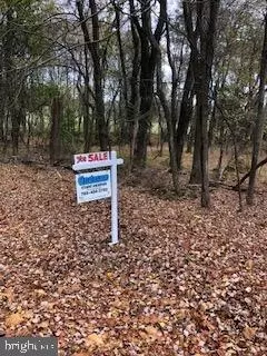 Meadow View, Gaithersburg, MD 20878 photo 19