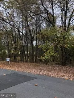 Meadow View, Gaithersburg, MD 20878 photo 10