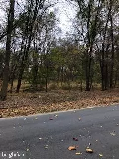 Meadow View, Gaithersburg, MD 20878 photo 13