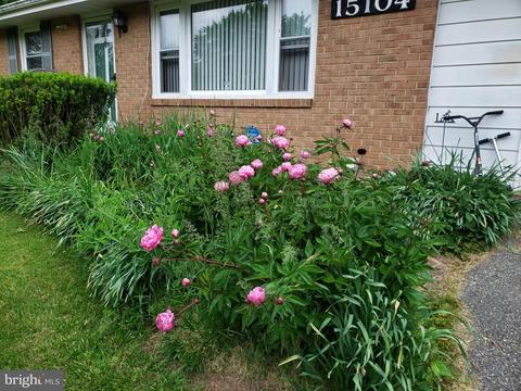 15104 Timberlake Dr, Silver Spring, MD 20905 photo 2