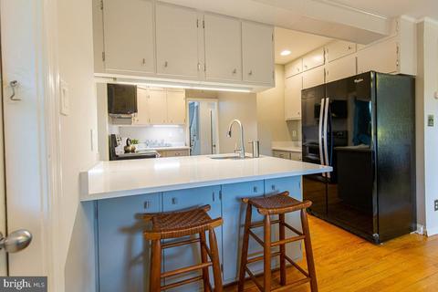 503 Deerfield Ave, Silver Spring, MD 20910 photo 15