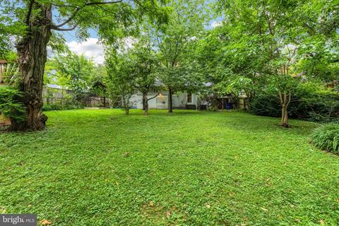 916 Robin Rd, Silver Spring, MD 20901 photo 29