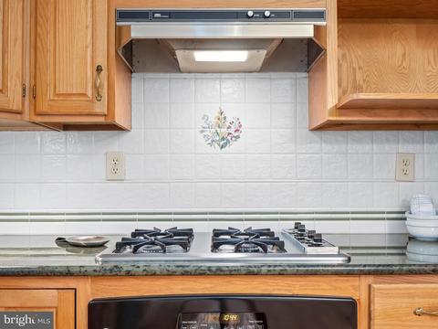 9208 Summit Rd, Silver Spring, MD 20910 photo 16