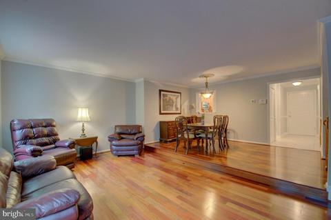 10359 Green Holly Ter, Silver Spring, MD 20902 photo 10